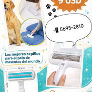 Rodillo quita pelos de perro y de gato - Img 51361587