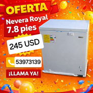 Nevera ROYAL 7.8 Pies Gris - Img 56010401