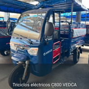 Triciclo VEDCAS C600 - Img 57974292
