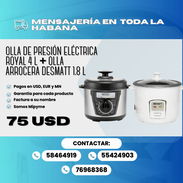 🍚 Olla arrocera DESMATT 1.8 L + Olla de presión eléctrica ( Reina )ROYAL 4 L - Img 56929863