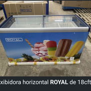 Exibidora horizontal *ROYAL* de 18cft *especificaciones* *técnicas* • Congelador tipo clima tropical •Capacidad 510 - Img 55915071