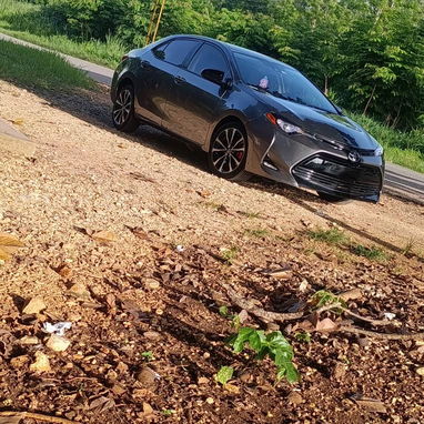 Toyota Corolla SE 2019 - Img 125483641