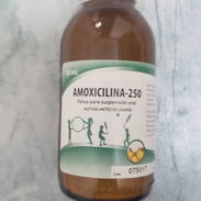 Amoxicilina Suspensión 250mg x 500 ✅ Solo mensajería 🛵 - Img 55519543