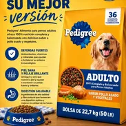 Comida de perros y gatos 52969213 importada - Img 55619723