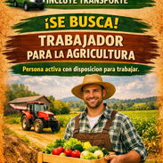 Estamos contratando - Img 58083363