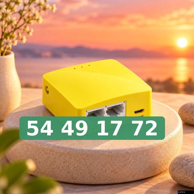 Router Balanceador de Cargas - 2/3