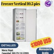 congelador/ freezer / nevera vertical royal - Img 45652802