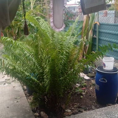 Se vende casa en Santa Fe - Img 123261370