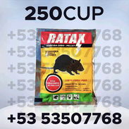 Veneno para ratas y ratones. Super efectivo - Img 55643112