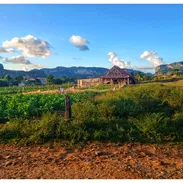 Habitación económica en Viñales para 4 personas – Precio desde 15 USD – Paneles solares incluidos - Img 55012693