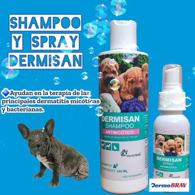 Shampoo Dermisan para perros (para el tratamiento contra los hongos) - Img 87980075