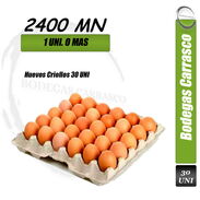 Carton de Huevos 2400MN - Img 44976970