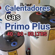 Calentadores de Gas 60 y 80 lt nuevos en caja - Img 53197716