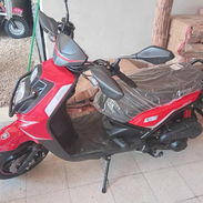 Moto - Img 55489119