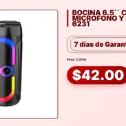 BOCINA 6.5´´ CON MICROFONO Y MANDO ZQS-6231 - Img 58423428