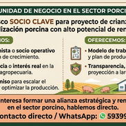 Busco una persona con conocimientos de veterinaria y que le gusten los animales - Img 57347515