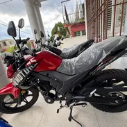 𝐌𝐎𝐓𝐎 𝐃𝐄𝐏𝐎𝐑𝐓𝐈𝐕𝐀 250cc - Img 58062810