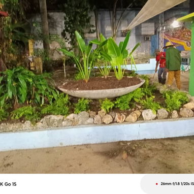 Servicio de jardinería - Img 119439262