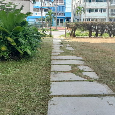 servicios de Jardinería y Limpieza de exteriores ( trabajamos en la mayoría de los Municipios ) - Img 122444838