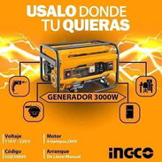 Plantas eléctricas - Img 45480331