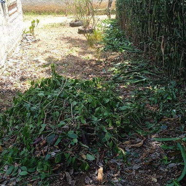 LIMPIEZA DE PATIOS - Img 120760195