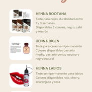 Venta productos de cejas y pestañas - Img 54899397