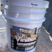 Pintura de vinil y impermeabilizante - Img 57243169