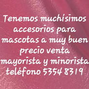 Accesorios para mascotas precion muy buenos - Img 56069152
