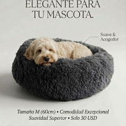 Cama para mascotas - Img 57804735