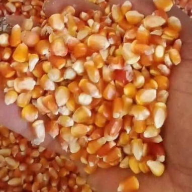 Comida de 1ra calidad para cerdos y gallinas. Pv.50017137 - 6/9