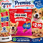 Galleticas para Perro - Img 57666456