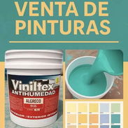 PINTURA VINIL ACRÍLICA - Img 55823929