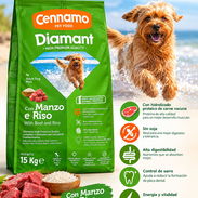Alimento para perros de razas pequeñas - Img 58158274