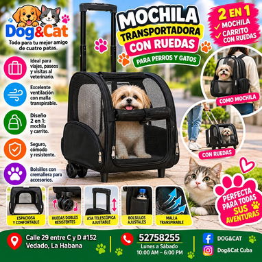 Transportadores para gatos y perros - 3/4