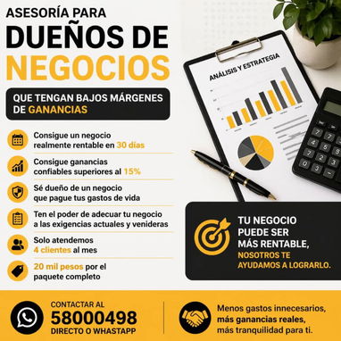 Creación de Mipymes, Currículum, Fichas de Costos, Asesoría y Consultoría para negocios privados. - Img 119846824
