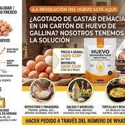 Solución al Huevo Caro ( aquí la tengo ) Huevo deshidratado industrial - Img 56682524