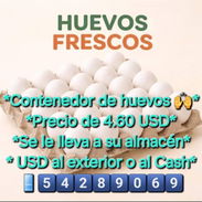 Contenedor de huevos frescos - Img 57752936