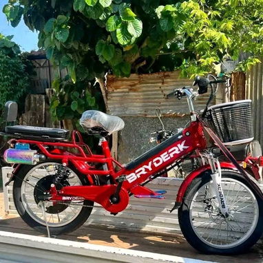 Bicicleta electrica TOPMAQ BRYDERK - Img 125530272