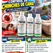 FUMIGACION. Servicio de Fumigación Integral - Img 57653467