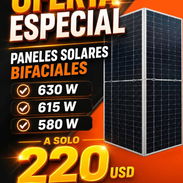 Paneles solares bifaciales - Img 57130022