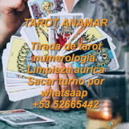 Taorista Anamar. Lectura de tarot, más de 30 años de experiencia - Img 44721861