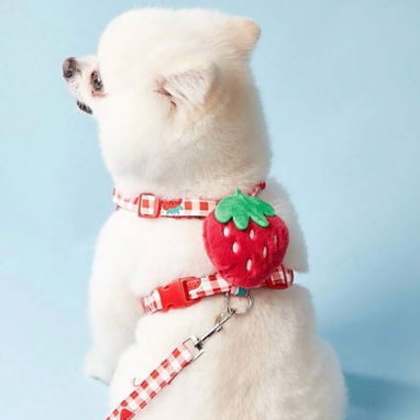 Vendo artículos para mascota - 9/10