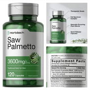 Saw Palmetto - Img 54121150