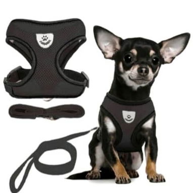 Vendo accesorios para mascotas - Img 122446241