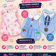 Ropa para Perros y Gatos - Img 56909525