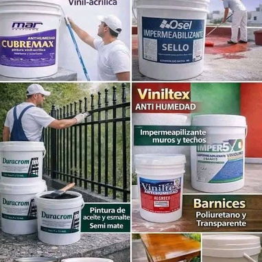Pintura blanca etc ….. variedades de colores disponibles - 7/10