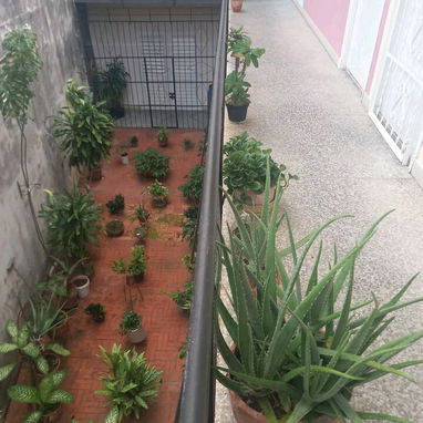 Alquiler de apartamento en Centro Habana de 1 solo cuarto para extranjeros y cubanos - 8/10