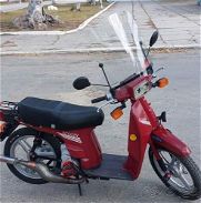 Oferta Exclusiva  Honda Scoopy SH75, la joya de las scooters en Cuba. Una inversión en distinción y rendimiento superior - Img 45809551