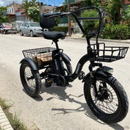 Bici Eskute de tres ruedas: Modelo:T300plus Bateria: Litio 48v 13ah Autonomía:35-40 millas Freno de disco de - Img 56886943