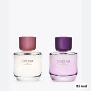 Perfumes ZARA - Img 57194095